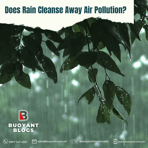 Does Rain Cleanse Away Air Pollution